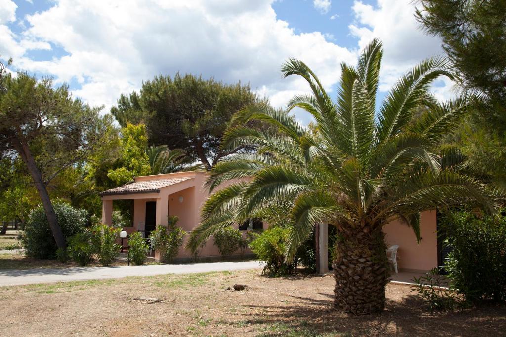 Villaggio Turistico Scialmarino Vieste Habitación foto